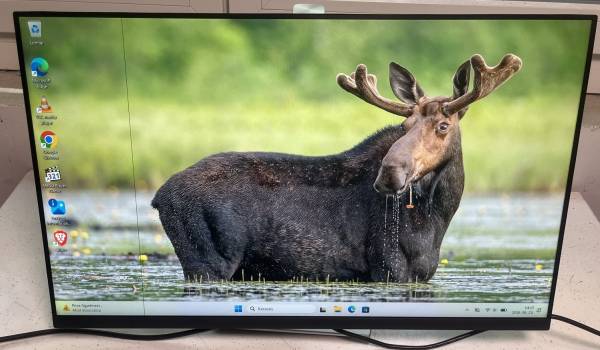 Dell P2722H monitor 1 pixelsor