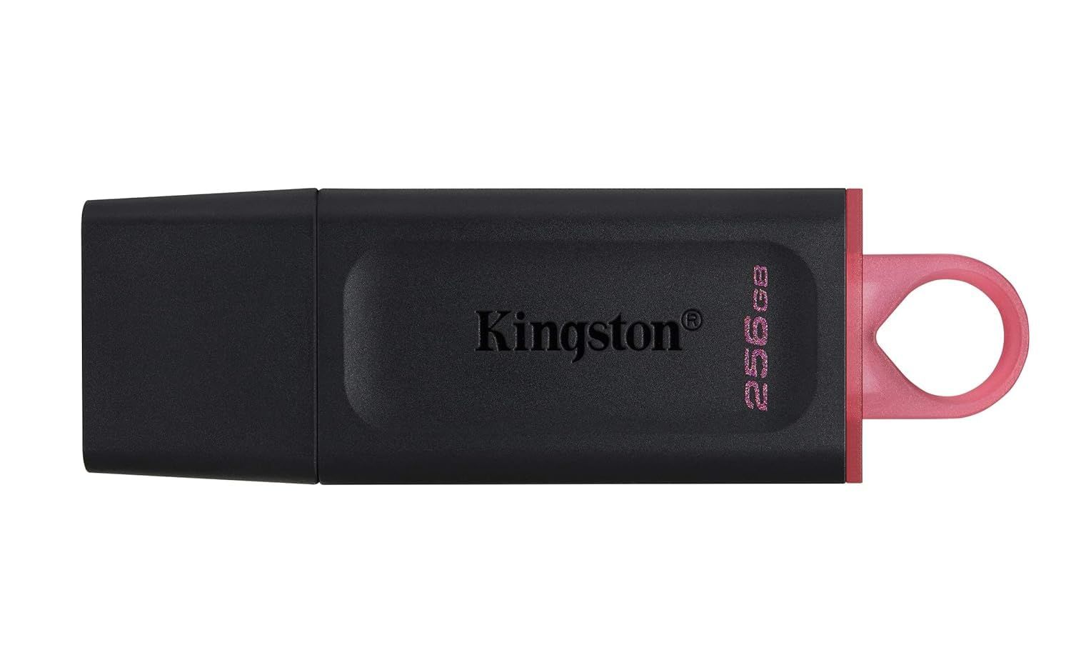 USB Flash RAM 256GB Kingston DTX USB 3.2 Gen1
