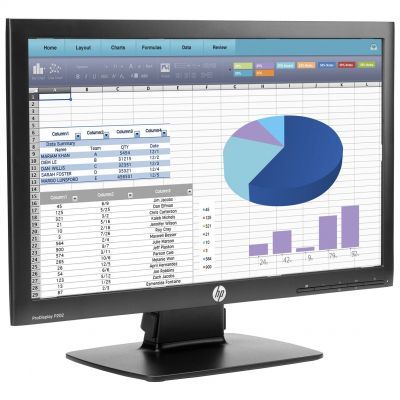 HP ProDisplay P202 20